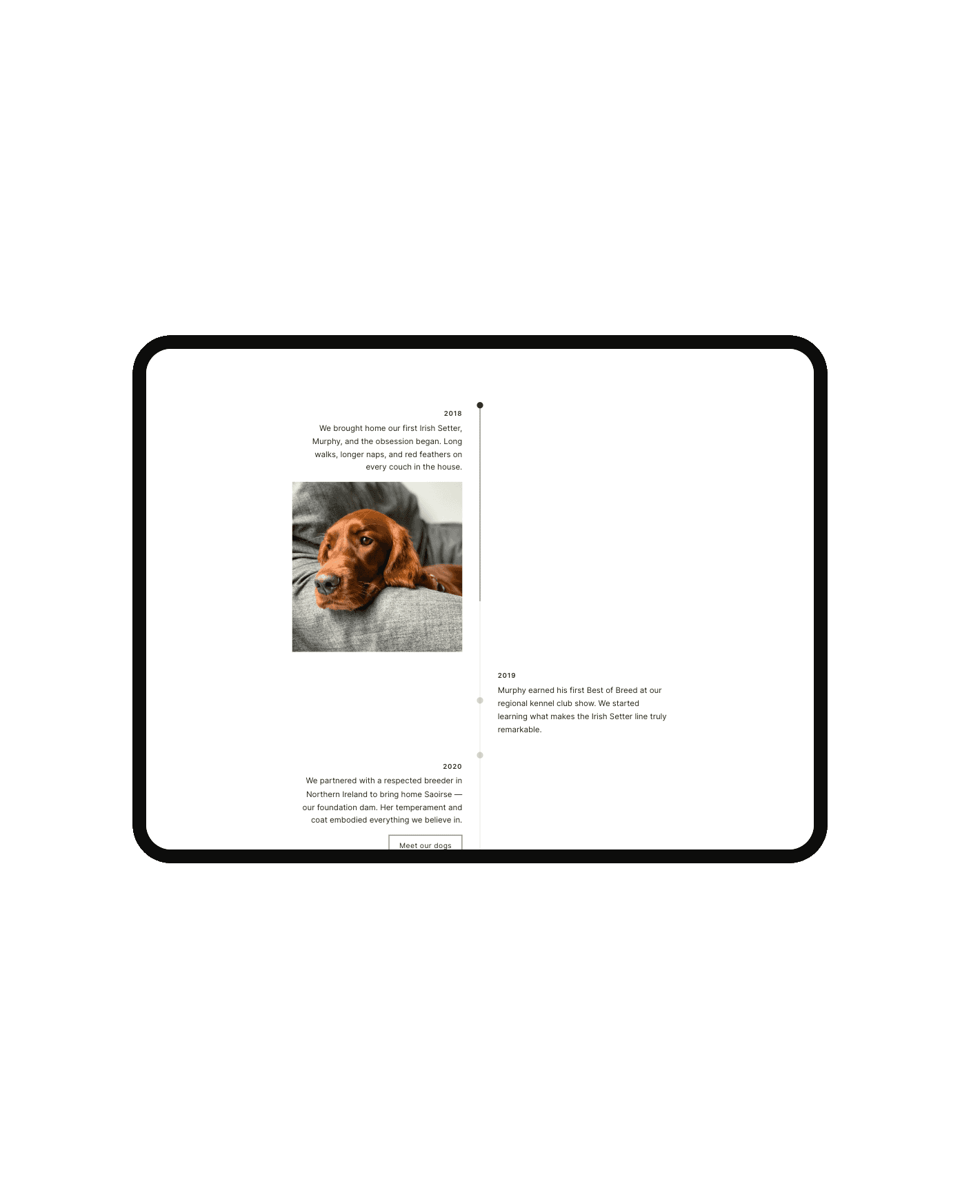 Vertical Timeline plugin for Squarespace – alternating layout in light mode, shown on an iPad mockup